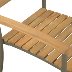 VidaXL Tuinstoelen Stapelbaar 2 St Massief Acaciahout En Staal -Tuinmeubelen e38500b2acaa40f79145c359696c2d8b